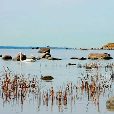 Hotel Viimsi & Waterpark Haabneeme