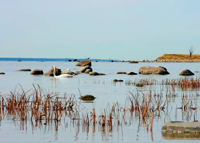 Отель Viimsi & Waterpark Haabneeme